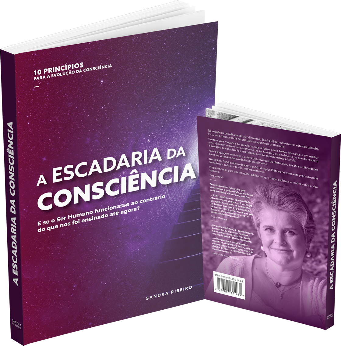 Livro Sandra Ribeiro Desenvolvimento Pessoal